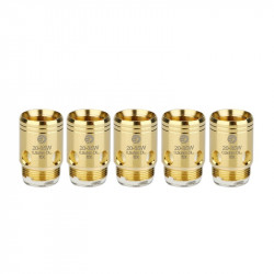 Verdampferköpfe EX (Exceed) - Joyetech | Pack x5 - Swiss ProVape