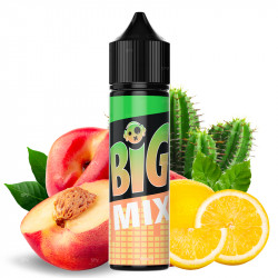 E-liquide Pêche Cactus - Big Mix by Liquidelab | 50 ml - Swiss ProVape