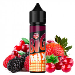 E-liquid Cranberry Rote Beeren - Big Mix by Liquidelab | 50 ml - Swiss ProVape