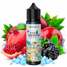 Pomme Grenade Mûre - Été - Les 4 Saisons by Protect 50 ml