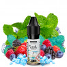 Mint Duo Wild Berries (Nic salts) - Summer - Les 4 Saisons by Protect