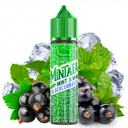 Mint & Blackcurrant -... - Swiss ProVape