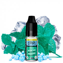 Eliquide saveur menthe polaire - Sels de nicotine VDLV - Swiss ProVape