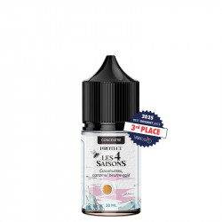 DIY Concentrate Peanuts Salted Butter Caramel - Les 4 Saisons by Protect - Swiss ProVape