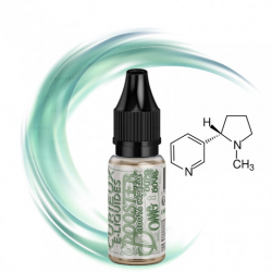 Nikotine- Shot Booster 100 % Végétal 20 mg - Curieux | 10 ml - 50/50 - Swiss ProVape