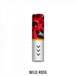 Filtres KIwi - Wild Rose