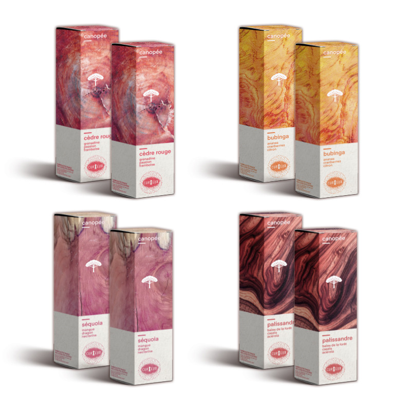 Canopée - Curieux Start-up Pack