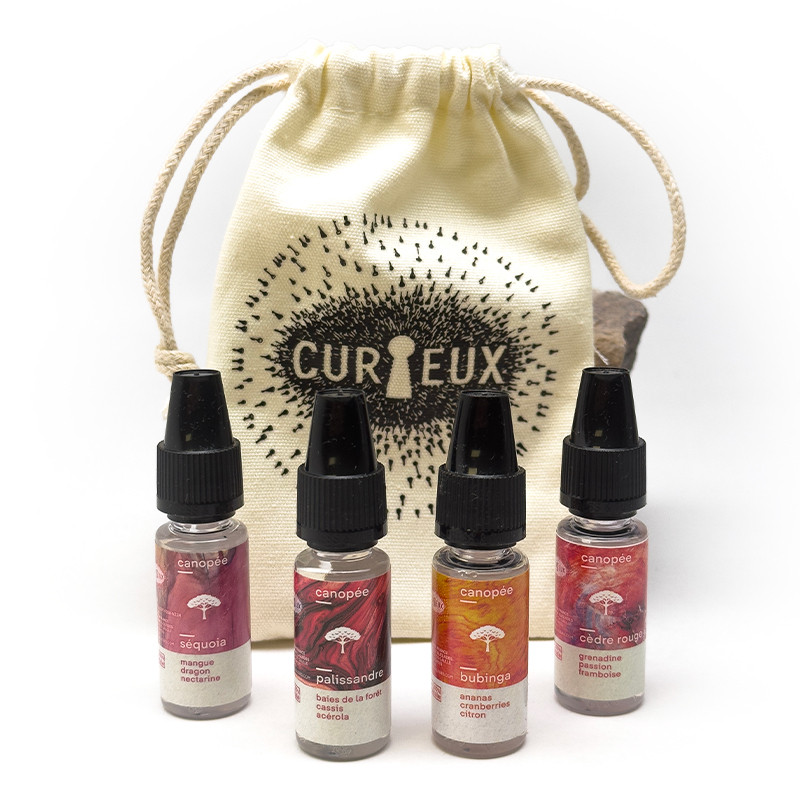Canopée Sample - Curieux