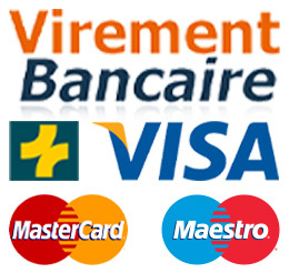 logo de nos moyen de paiement : Mastercard, Visa, Twint, PostFinance, Swissbilling, Virement Bancaire, American Express, Maestro